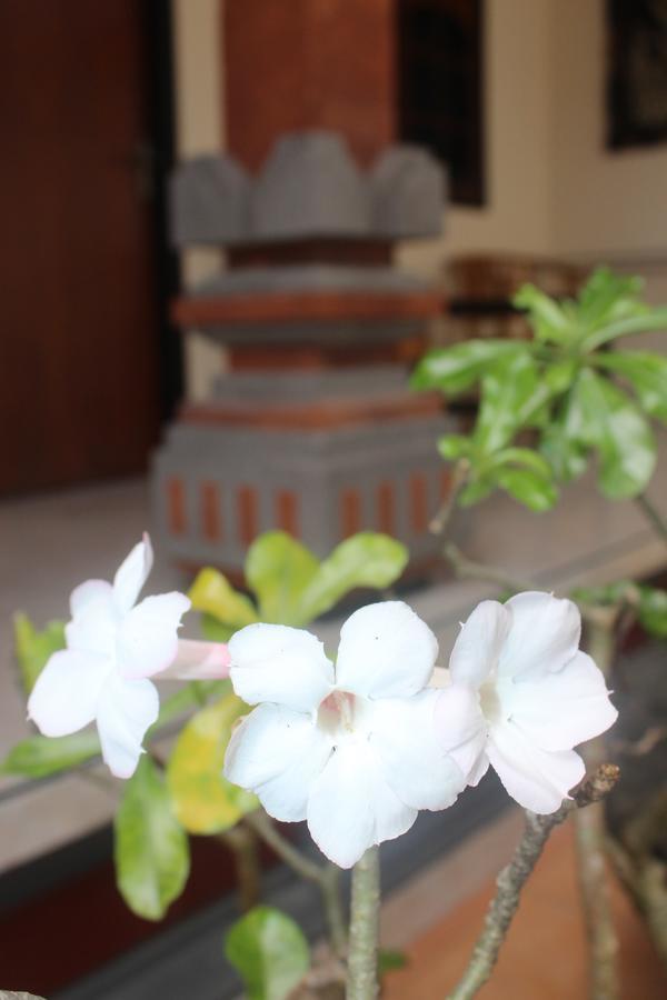 Js Guest House Seminyak  Luaran gambar